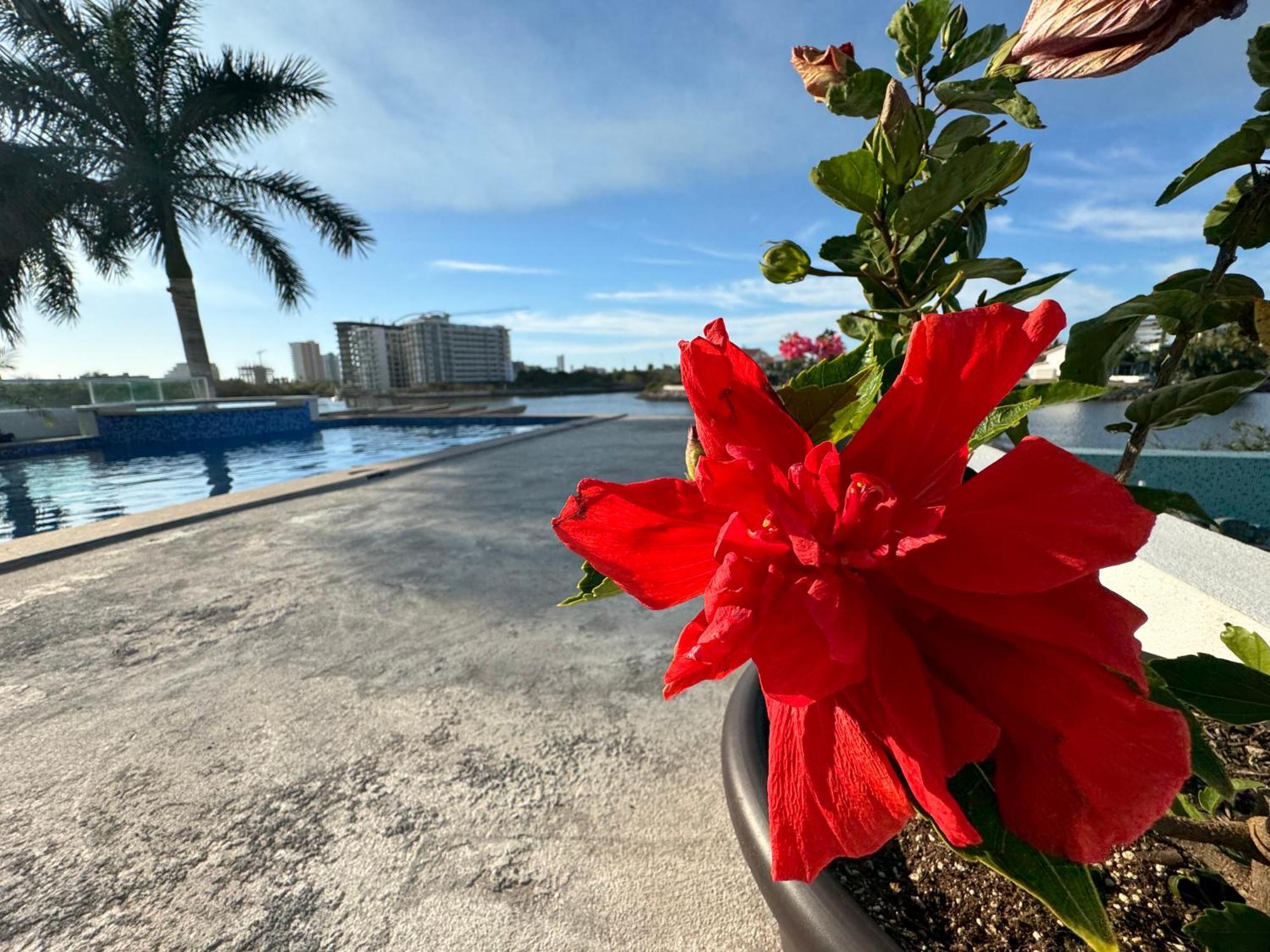 Casa Isla Marina Vista Al Mar 20 Personas Villa Mazatlan Bagian luar foto